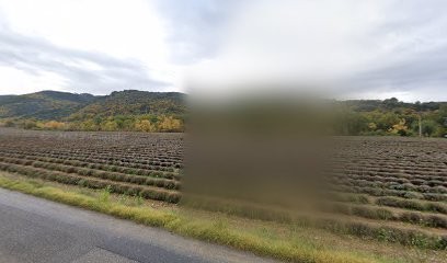 TECHNIC FROID SERVICES, Installateur de Climatisation à Oraison