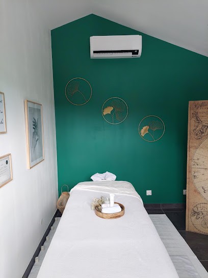 FROID + 38, Installateur de Climatisation à Saint-Georges-d'Espéranche