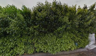 RGE Erri Climatique, Installateur de Climatisation à Épinouze